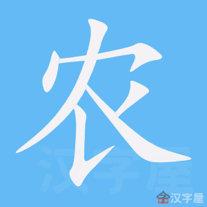 《农》的笔顺动画写字动画演示