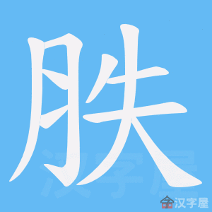 《胅》的笔顺动画写字动画演示
