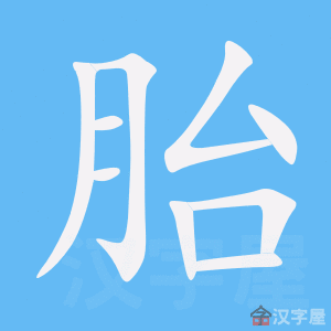 《胎》的笔顺动画写字动画演示