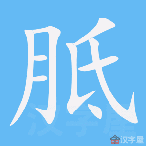 《胝》的笔顺动画写字动画演示