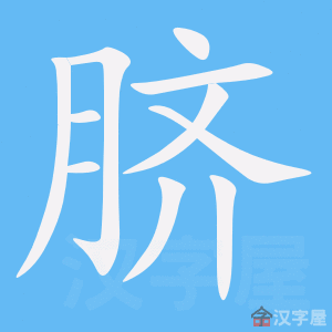 《脐》的笔顺动画写字动画演示