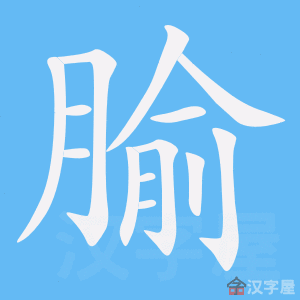 《腧》的笔顺动画写字动画演示