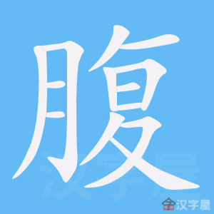 《腹》的笔顺动画写字动画演示