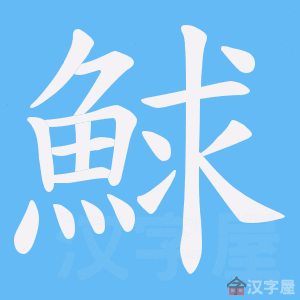 《鯄》的笔顺动画写字动画演示
