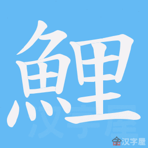 《鯉》的笔顺动画写字动画演示