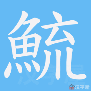 《鯍》的笔顺动画写字动画演示