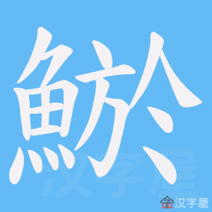 《鯲》的笔顺动画写字动画演示