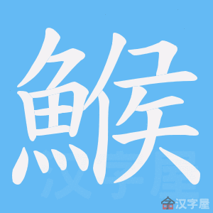 《鯸》的笔顺动画写字动画演示