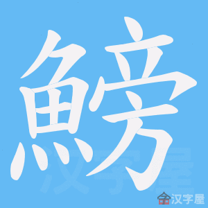 《鰟》的笔顺动画写字动画演示