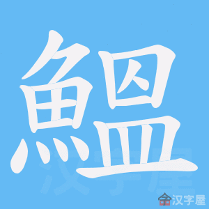 《鰮》的笔顺动画写字动画演示