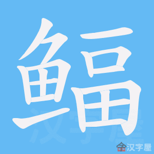 《鲾》的笔顺动画写字动画演示