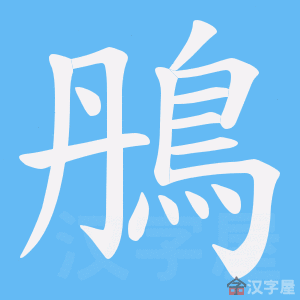 《鴅》的笔顺动画写字动画演示