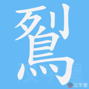 《鴷》的笔顺动画写字动画演示