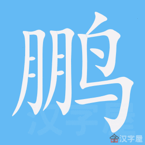 《鹏》的笔顺动画写字动画演示