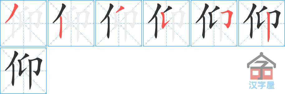 《仰》的笔顺分步演示（一笔一画写字）