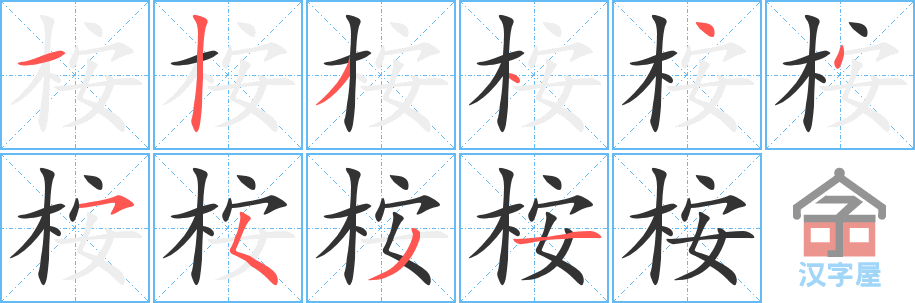 《桉》的笔顺分步演示（一笔一画写字）