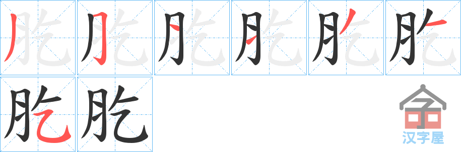 《肐》的笔顺分步演示（一笔一画写字）