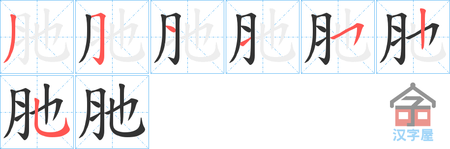 《肔》的笔顺分步演示（一笔一画写字）