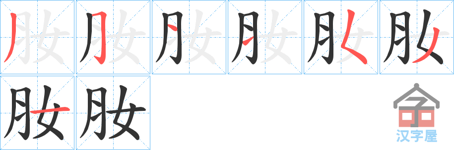 《肗》的笔顺分步演示（一笔一画写字）