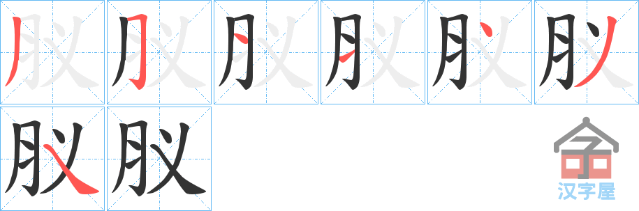 《肞》的笔顺分步演示（一笔一画写字）