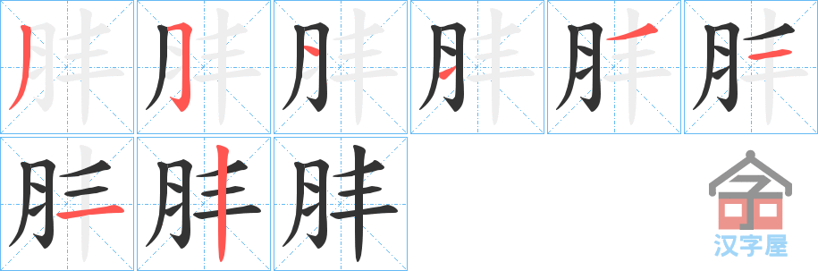 《肨》的笔顺分步演示（一笔一画写字）