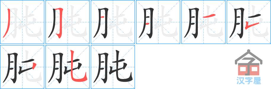 《肫》的笔顺分步演示（一笔一画写字）