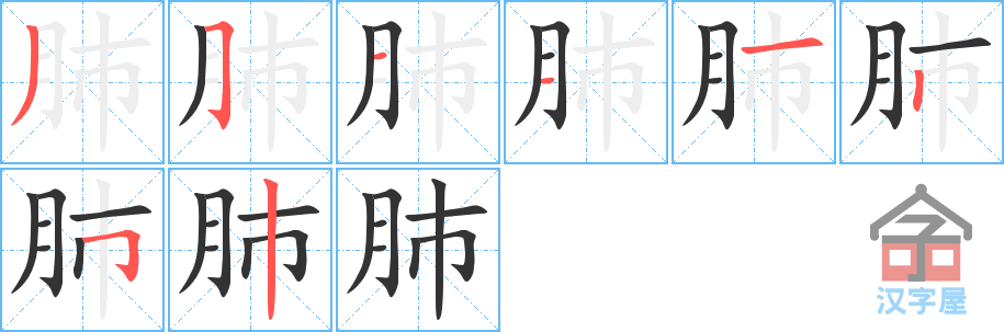 《肺》的笔顺分步演示（一笔一画写字）