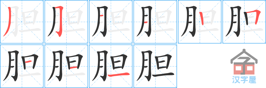 《胆》的笔顺分步演示（一笔一画写字）