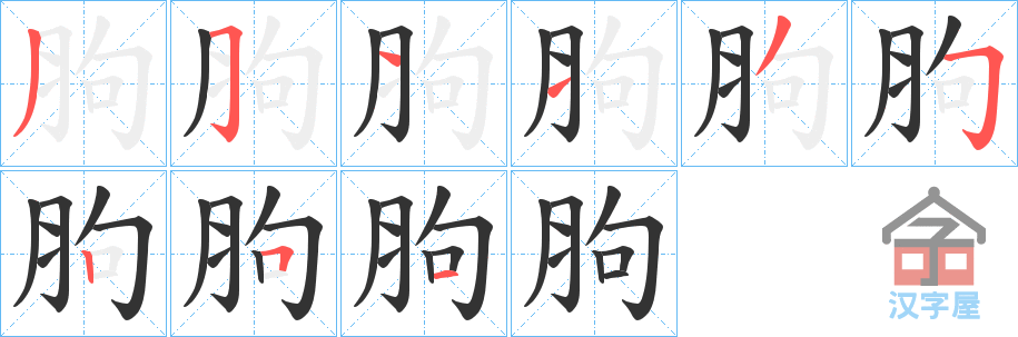 《胊》的笔顺分步演示（一笔一画写字）