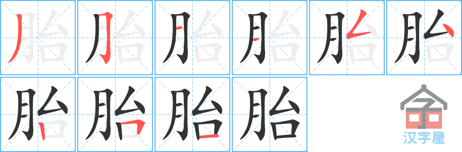 《胎》的笔顺分步演示（一笔一画写字）