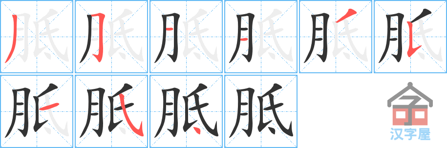 《胝》的笔顺分步演示（一笔一画写字）