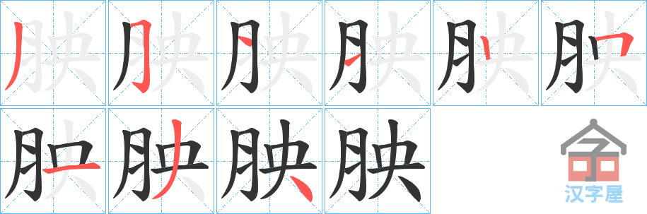 《胦》的笔顺分步演示（一笔一画写字）