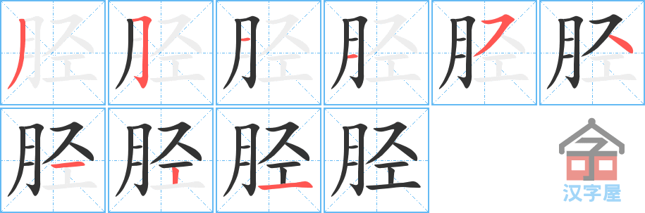 《胫》的笔顺分步演示（一笔一画写字）