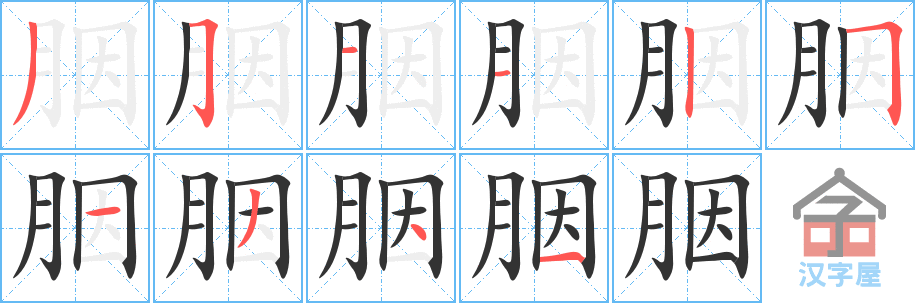 《胭》的笔顺分步演示（一笔一画写字）