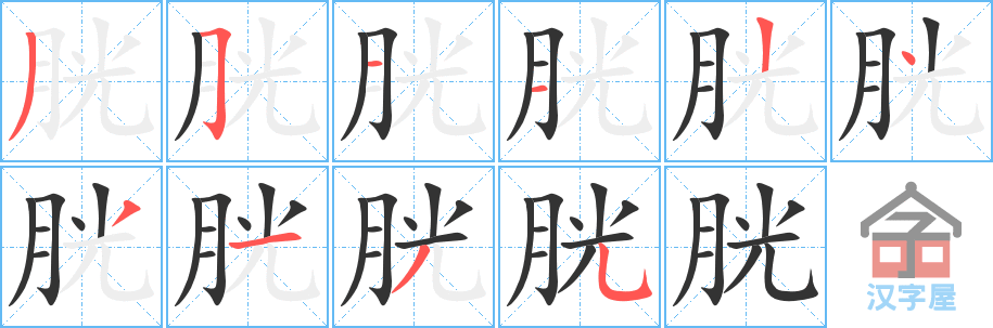 《胱》的笔顺分步演示（一笔一画写字）