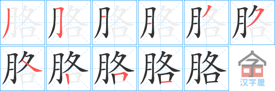 《胳》的笔顺分步演示（一笔一画写字）