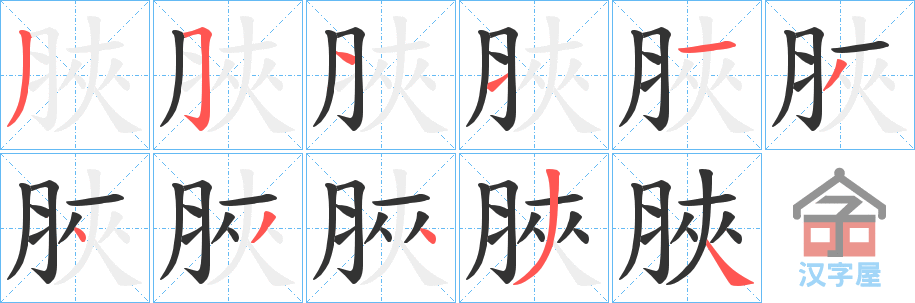 《脥》的笔顺分步演示（一笔一画写字）