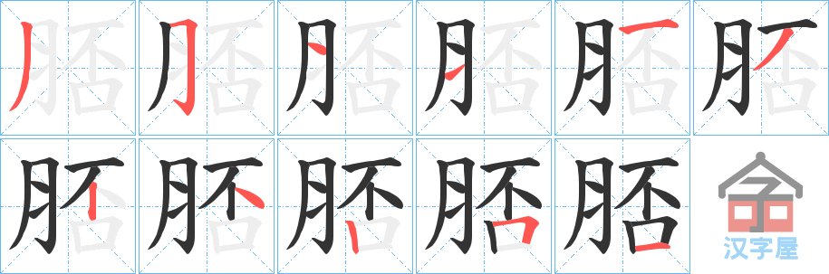 《脴》的笔顺分步演示（一笔一画写字）