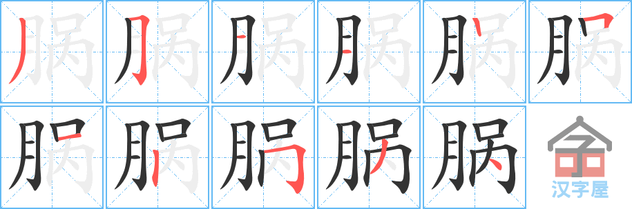 《脶》的笔顺分步演示（一笔一画写字）