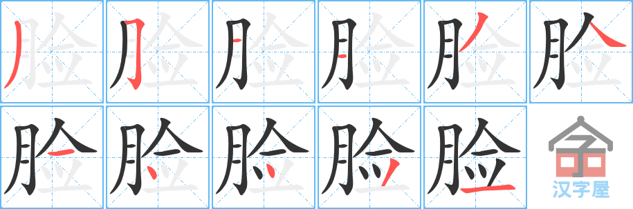 《脸》的笔顺分步演示（一笔一画写字）