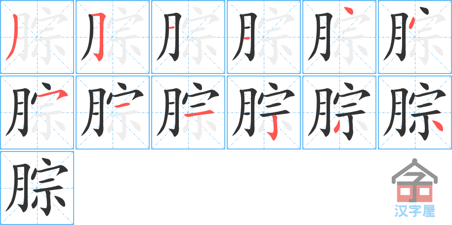 《腙》的笔顺分步演示（一笔一画写字）