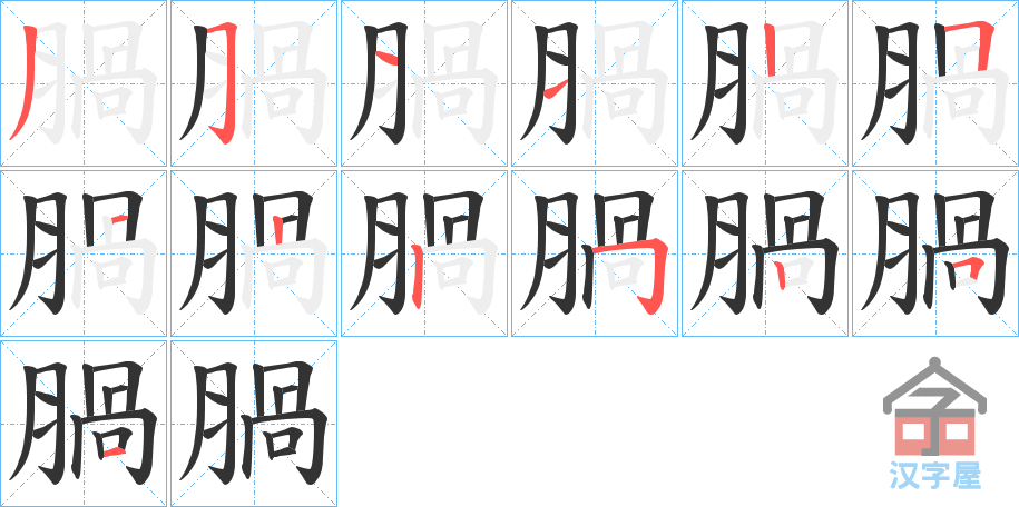 《腡》的笔顺分步演示（一笔一画写字）