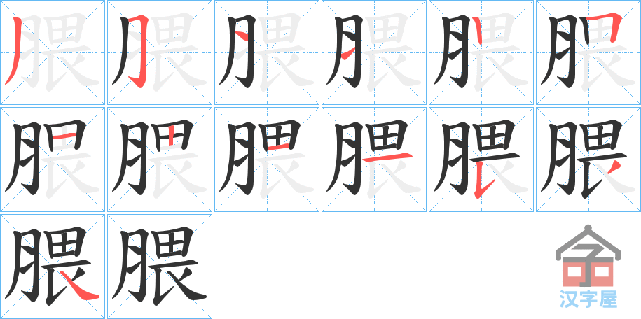 《腲》的笔顺分步演示（一笔一画写字）