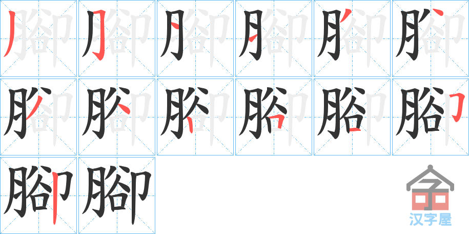 《腳》的笔顺分步演示（一笔一画写字）