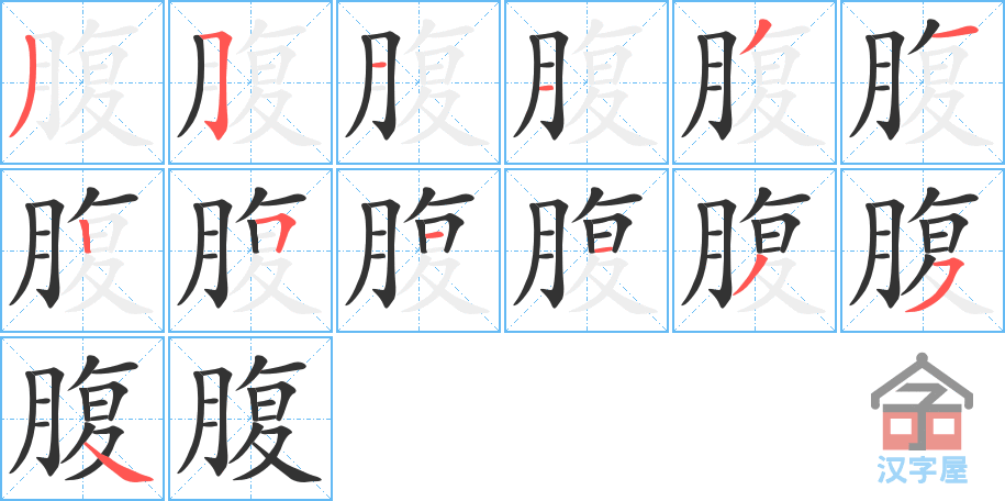 《腹》的笔顺分步演示（一笔一画写字）