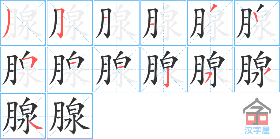 《腺》的笔顺分步演示（一笔一画写字）