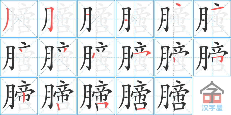 《膪》的笔顺分步演示（一笔一画写字）