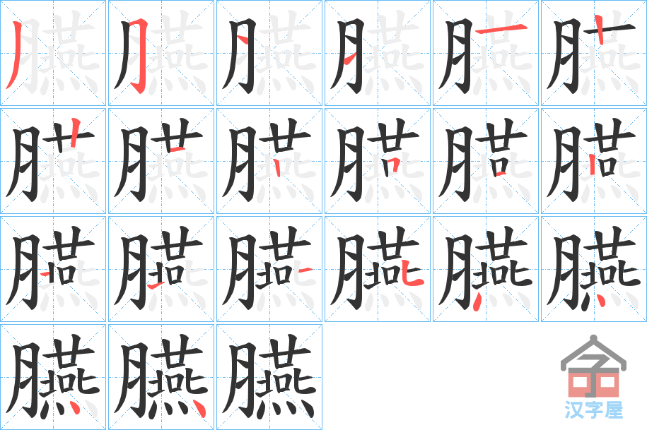 《臙》的笔顺分步演示（一笔一画写字）