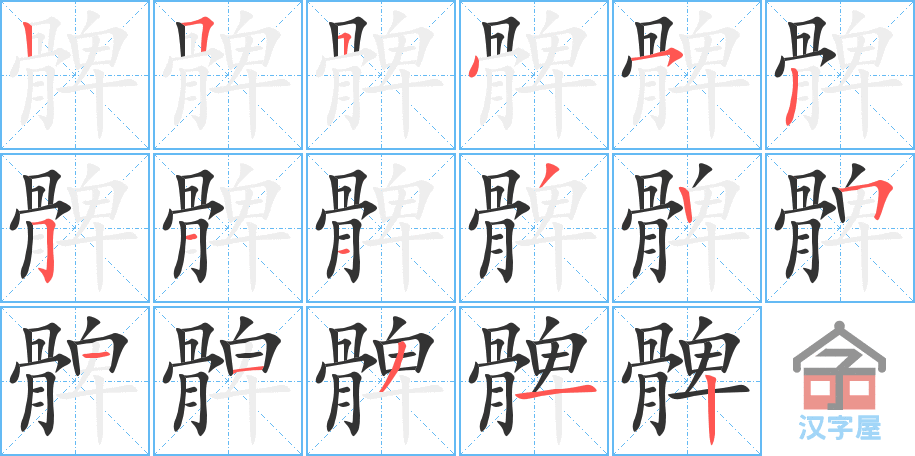 《髀》的笔顺分步演示（一笔一画写字）