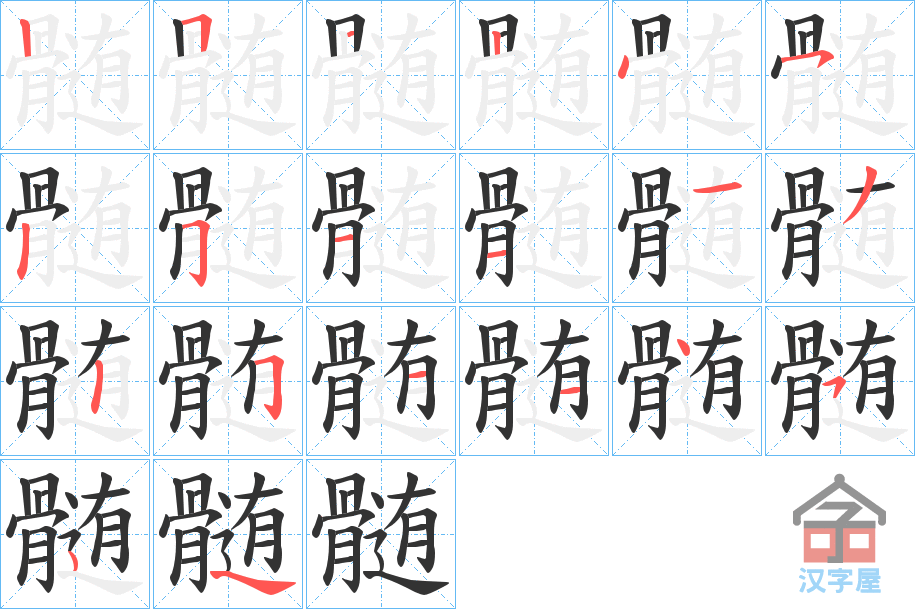 《髄》的笔顺分步演示（一笔一画写字）